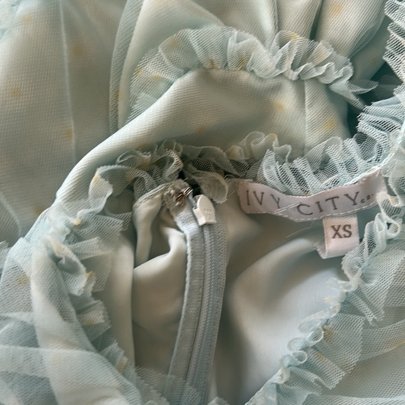 Ivy City Co Corrine Tulle Dress - Picture 7 of 7